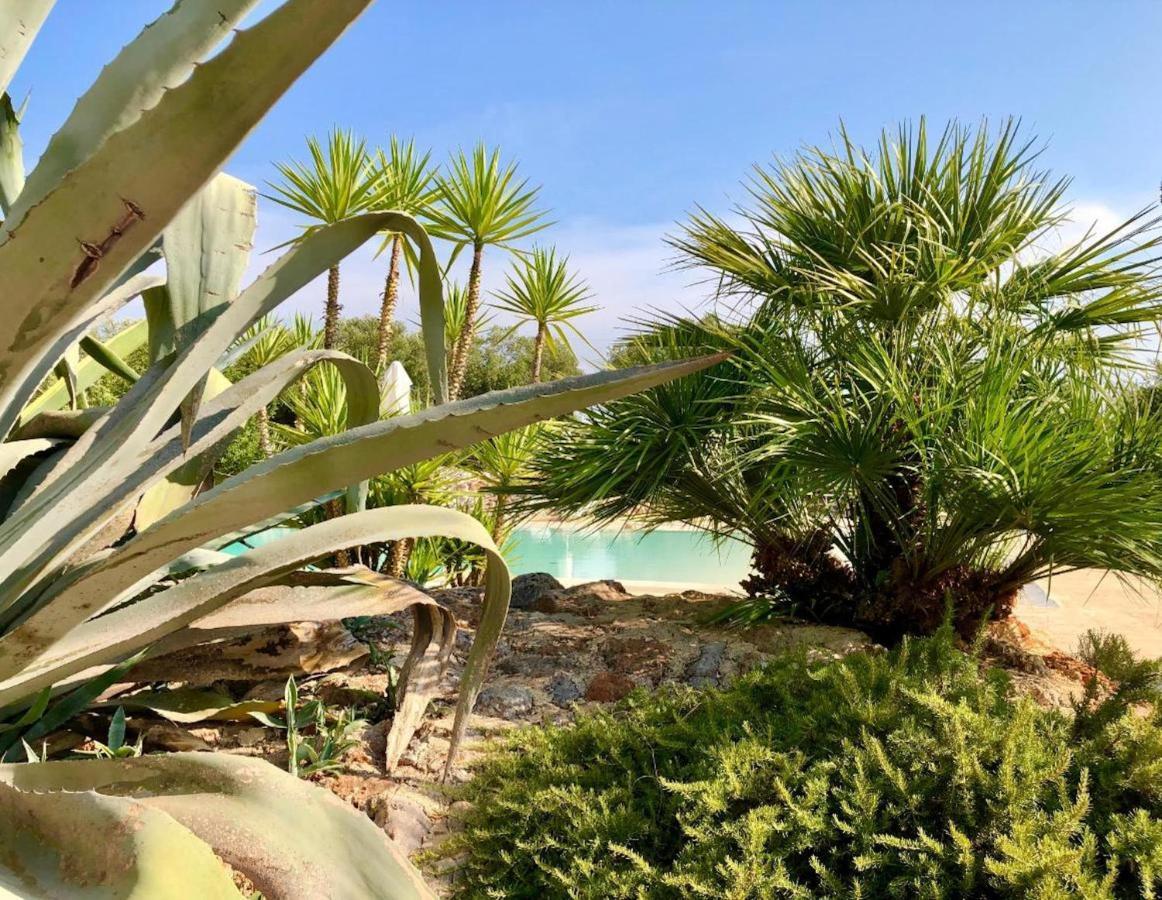 I Love Trullo - Country Boutique Apartments - Villa Laura 오스투니 외부 사진