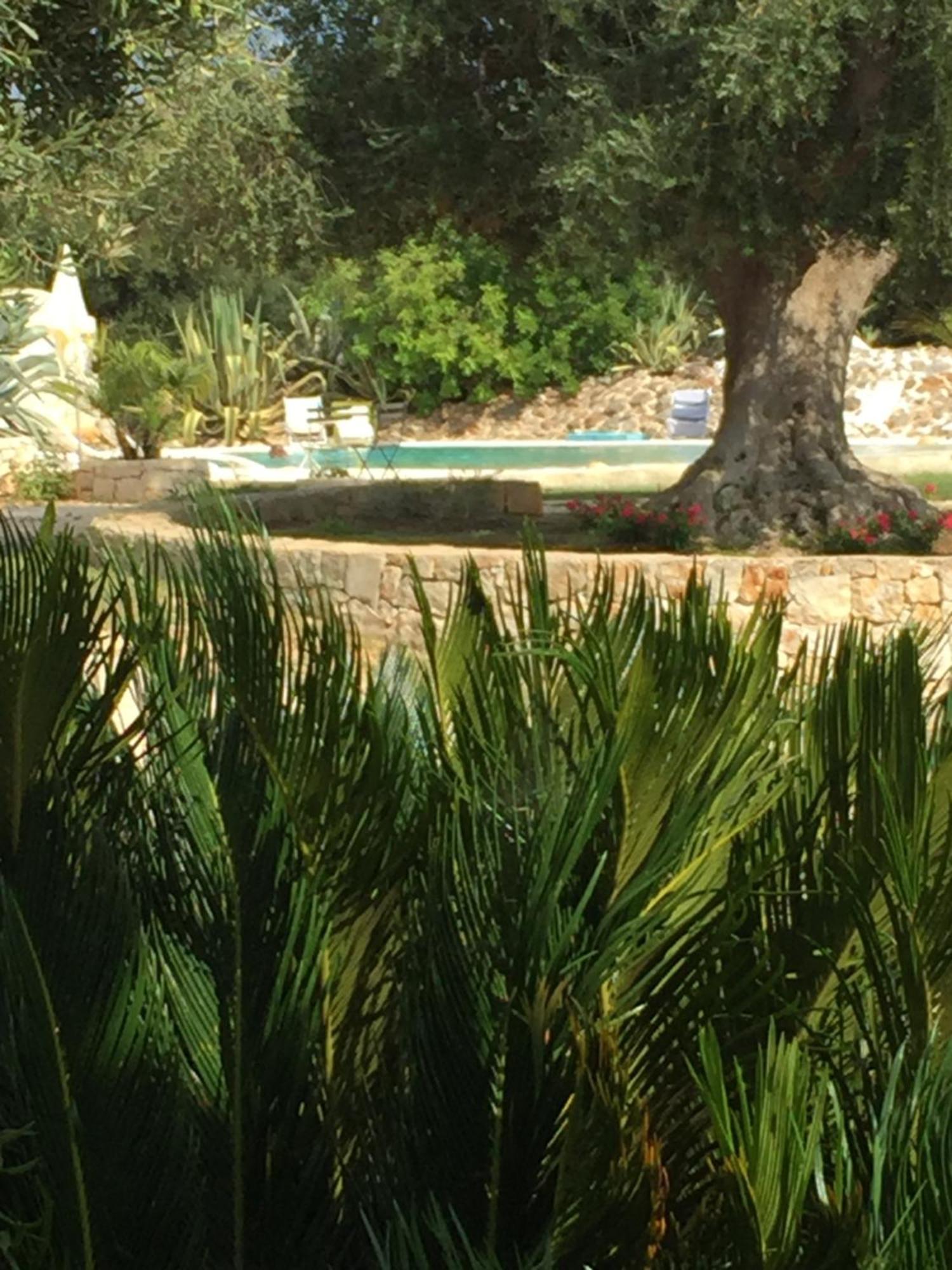 I Love Trullo - Country Boutique Apartments - Villa Laura 오스투니 외부 사진