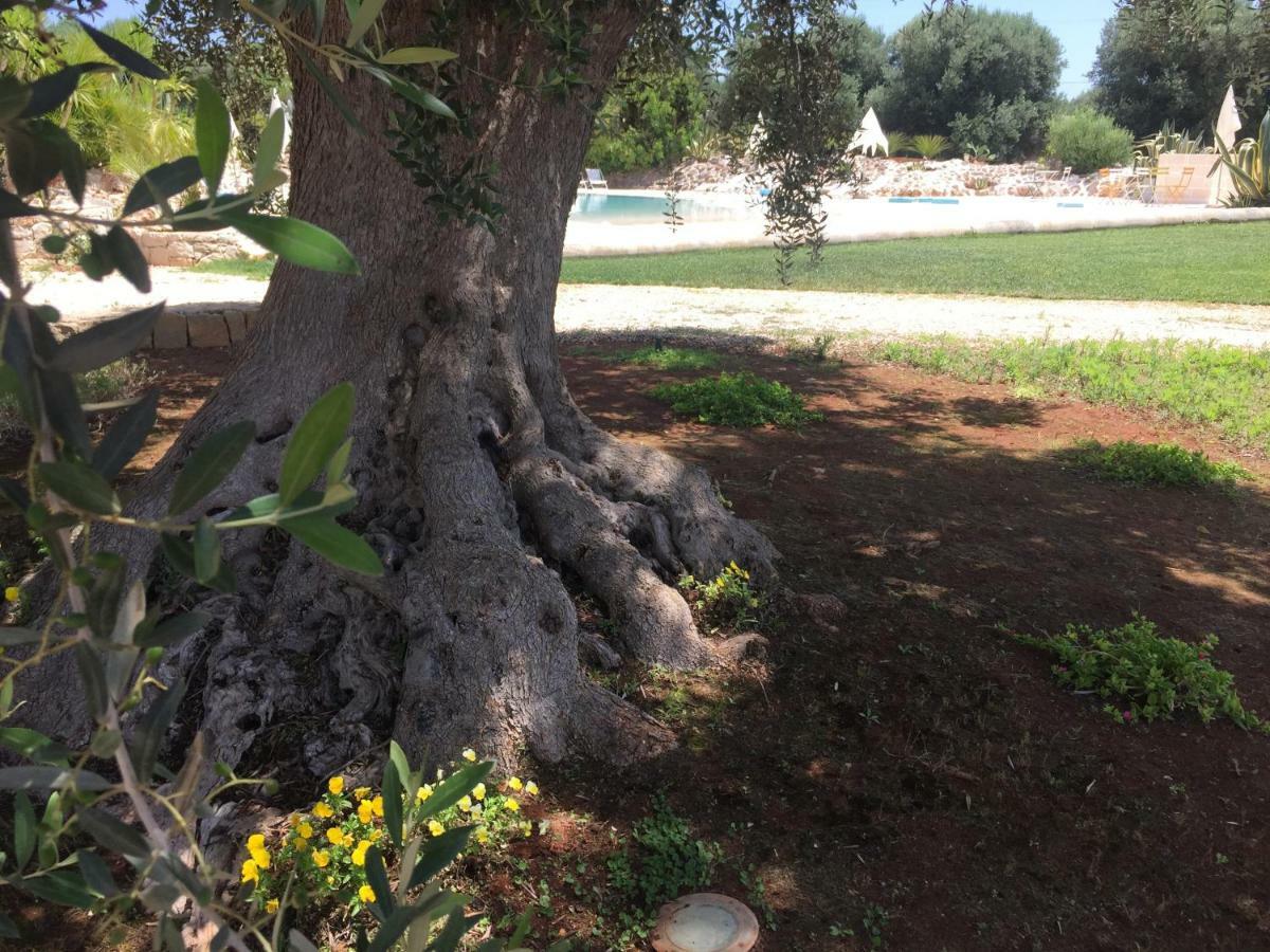 I Love Trullo - Country Boutique Apartments - Villa Laura 오스투니 외부 사진